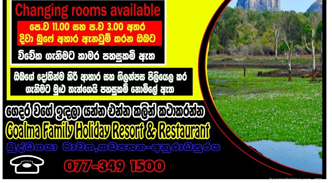 Our Services